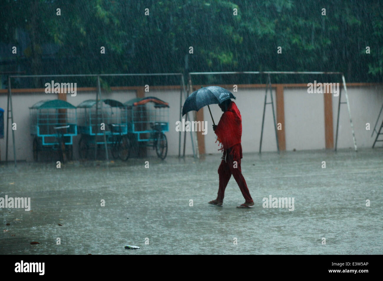 A Bangladeshi girl walking under rain,now its rainy season in Bngladesh
