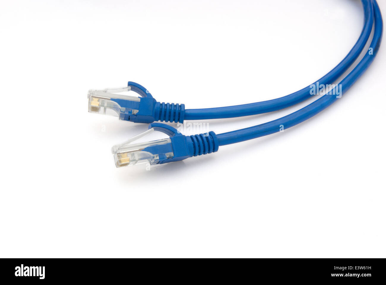 RJ45 computer network connecting cable Stock Photo Alamy