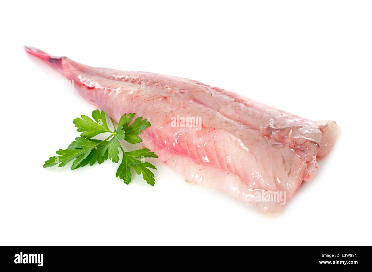 picture of monkfish in front of white background Stock Photo