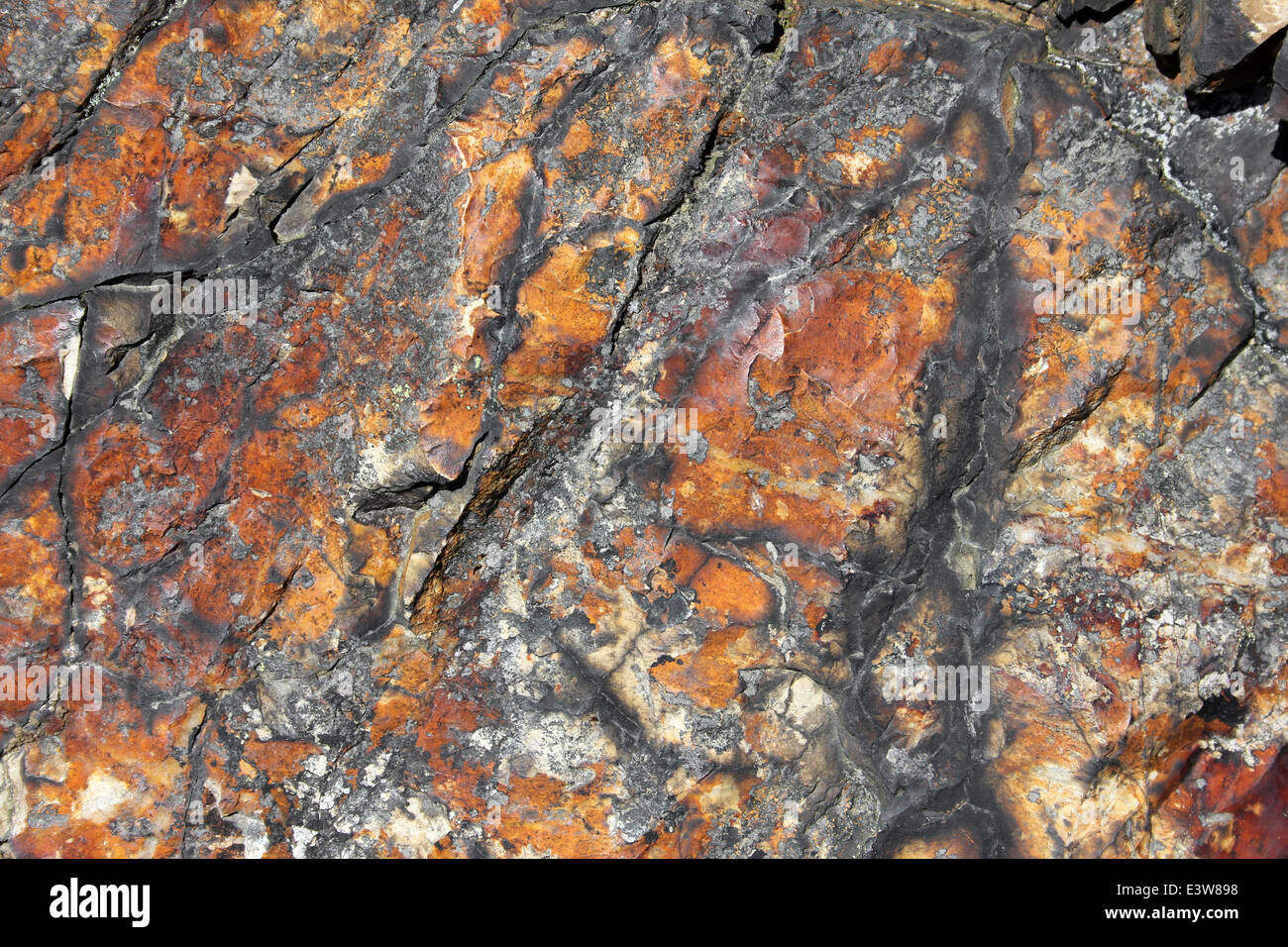 Rhyolite Stained Black With Manganese Stock Photo