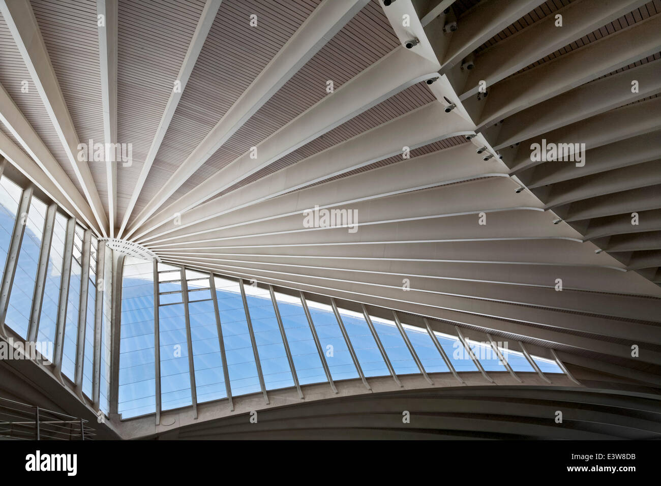 Sondika Airport, Bilbao, Bilbao, Spain. Architect: Santiago Calatrava, 2000. Stock Photo