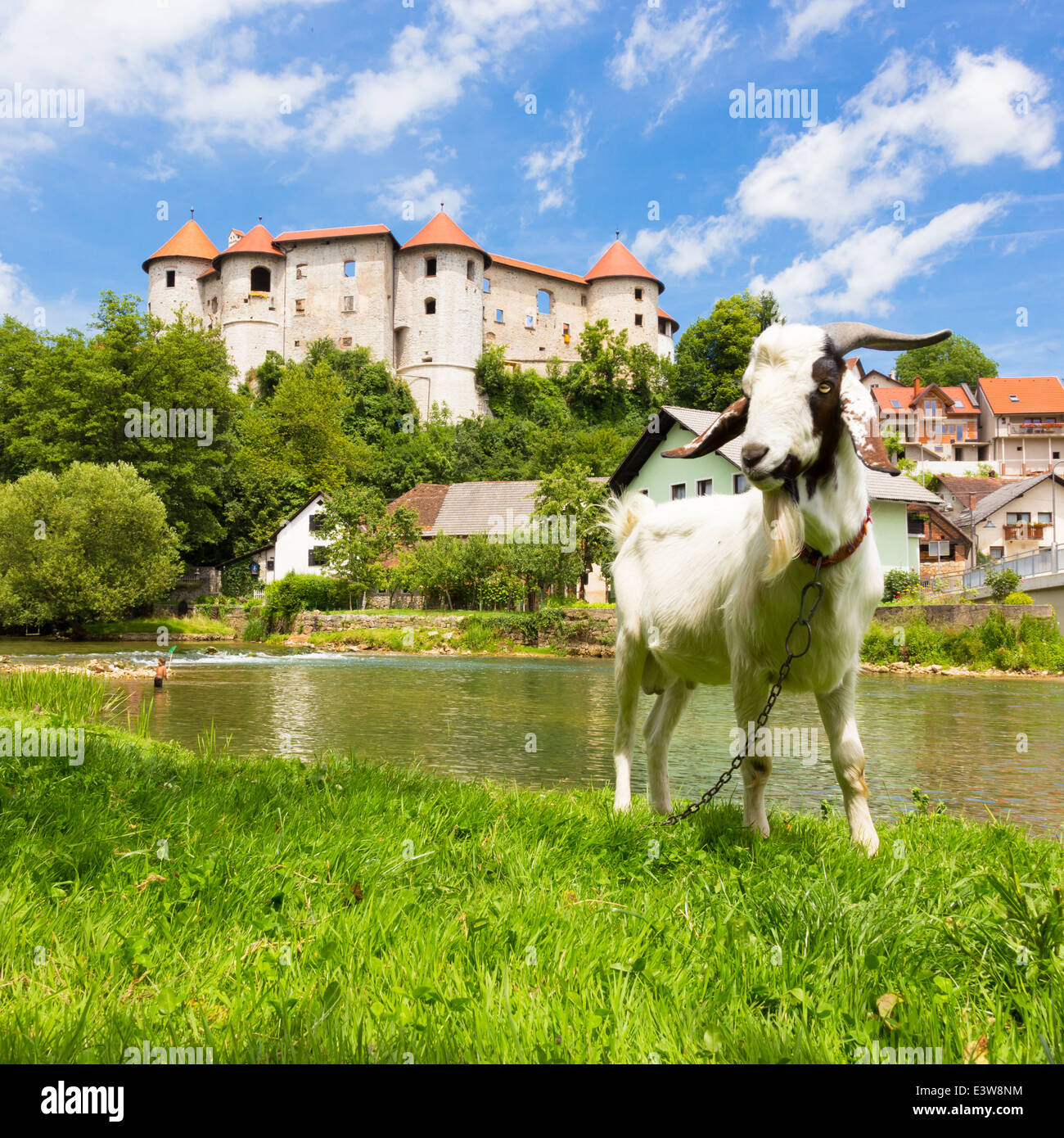 Zuzemberk Castle, Slovenian tourist destination Stock Photo - Alamy