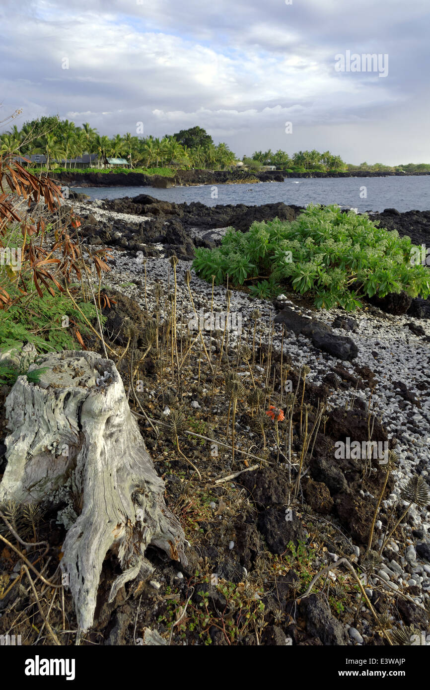 Kealakekua Bay, Captain Cook, Kailu Kona, Big Island, Hawaii, USA Stock Photo