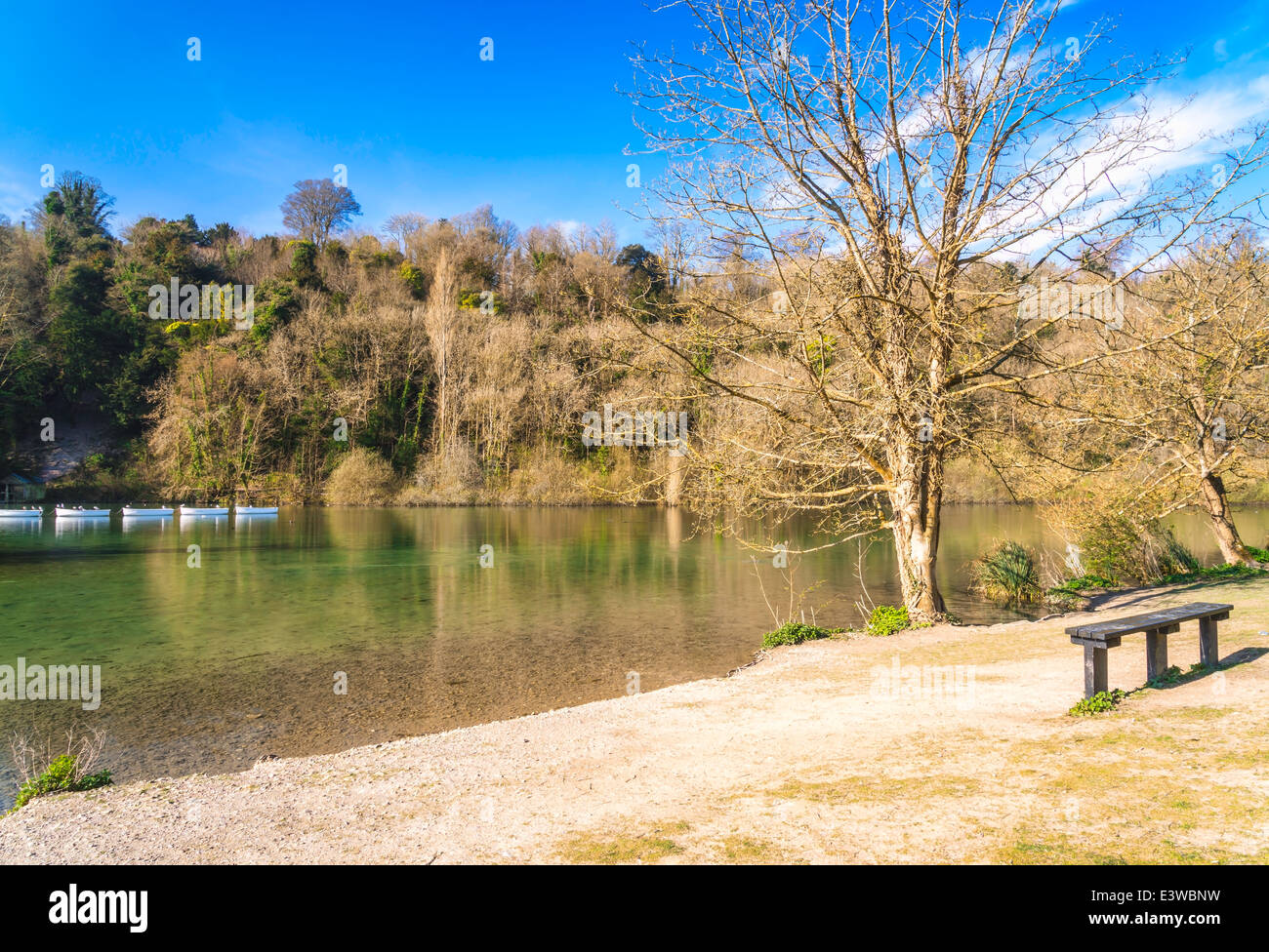 Fives boating on swanbourne Lake in Arundel, West Sussex Stock Photo ...