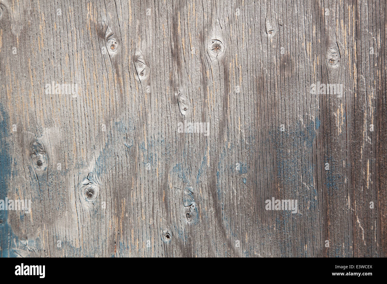 grey wood with knots and remnants of blue paint Stock Photo Alamy