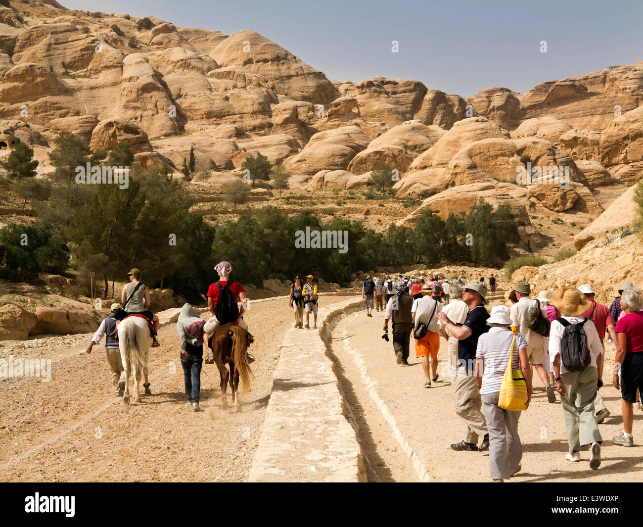 Jordan, Arabah, Petra, horses giving tourists ride to Al-Siq entrance, past walking visitors Stock Photo