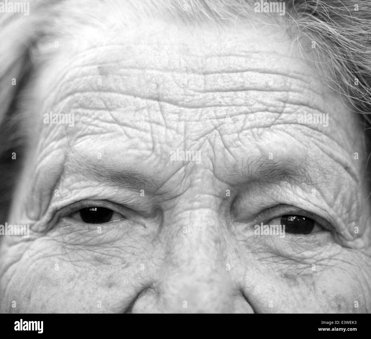 Close up portrait of older lady Stock Photo