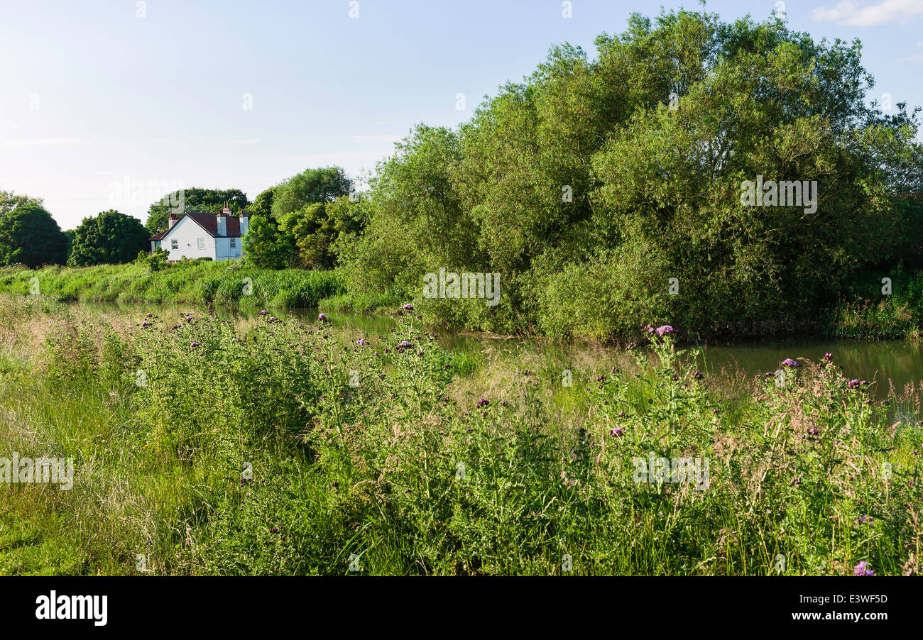 Countryside near hull hires stock photography and images Alamy