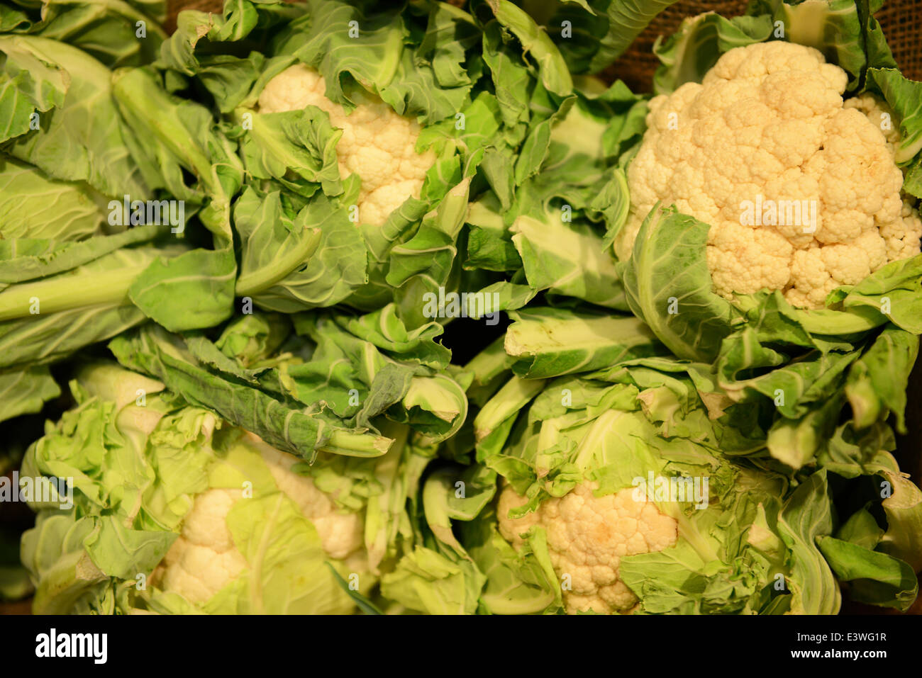 Cauliflower Stock Photo