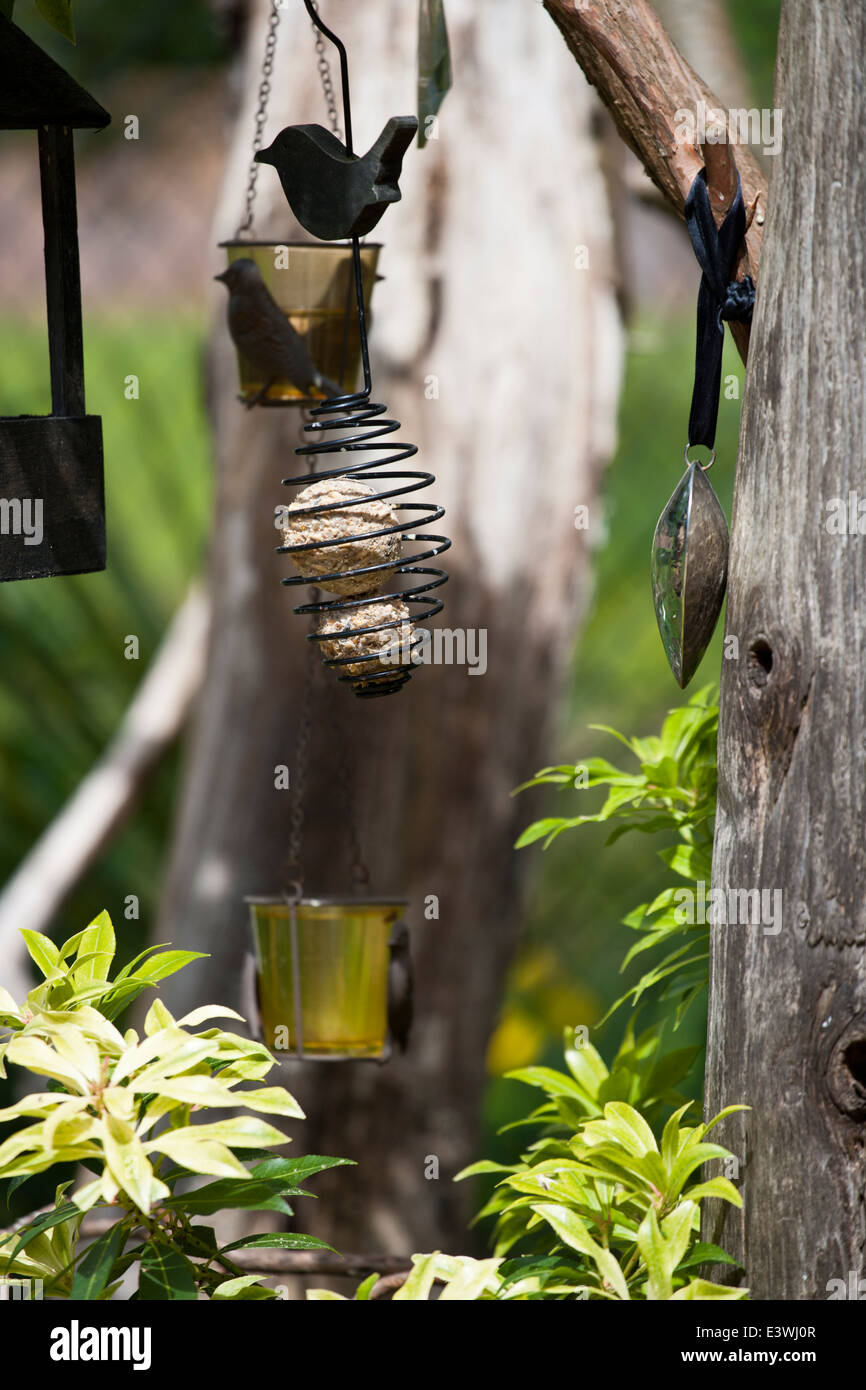 Bird feeders in a UK garden Stock Photo Alamy