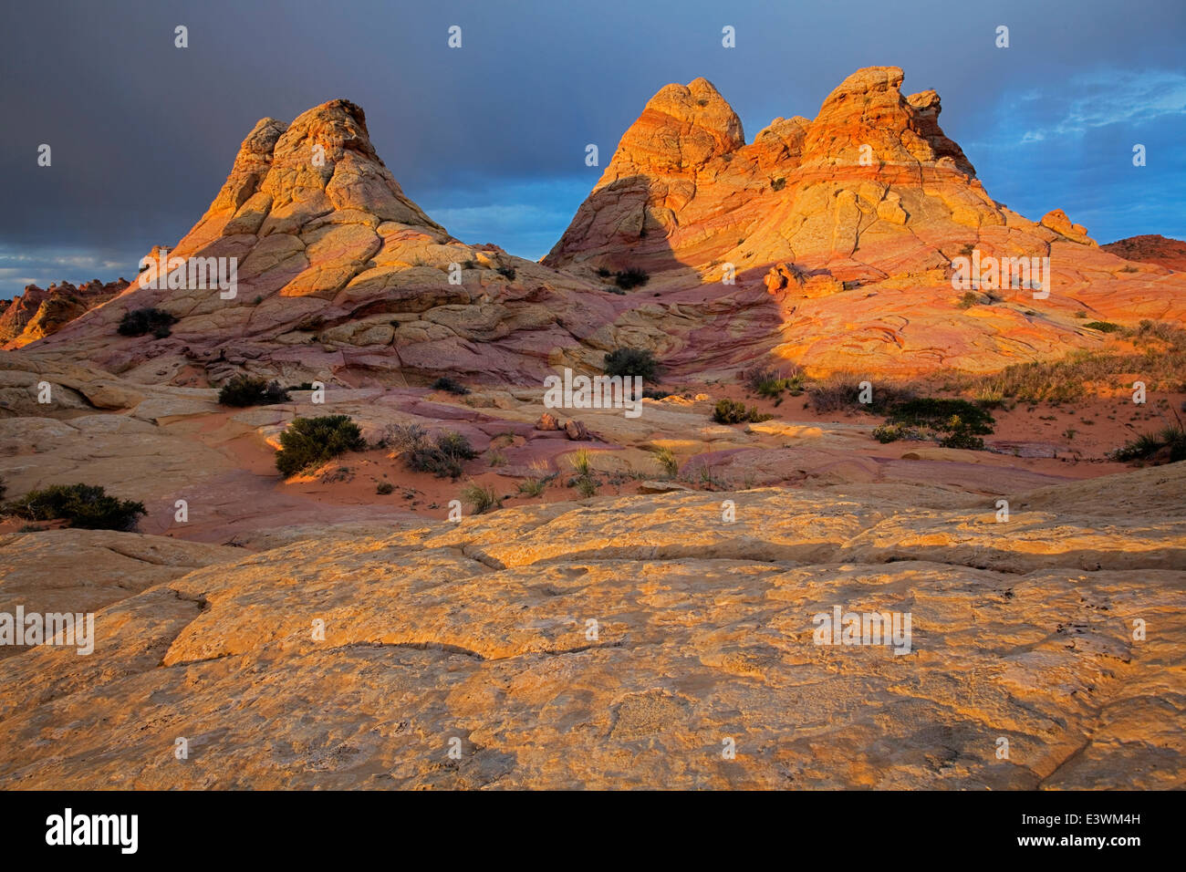 USA Arizona Vermillion Cliffs National Monument Coyote Buttes Stock usa-arizona-vermillion-cliffs-national-monument-coyote-buttes-stock