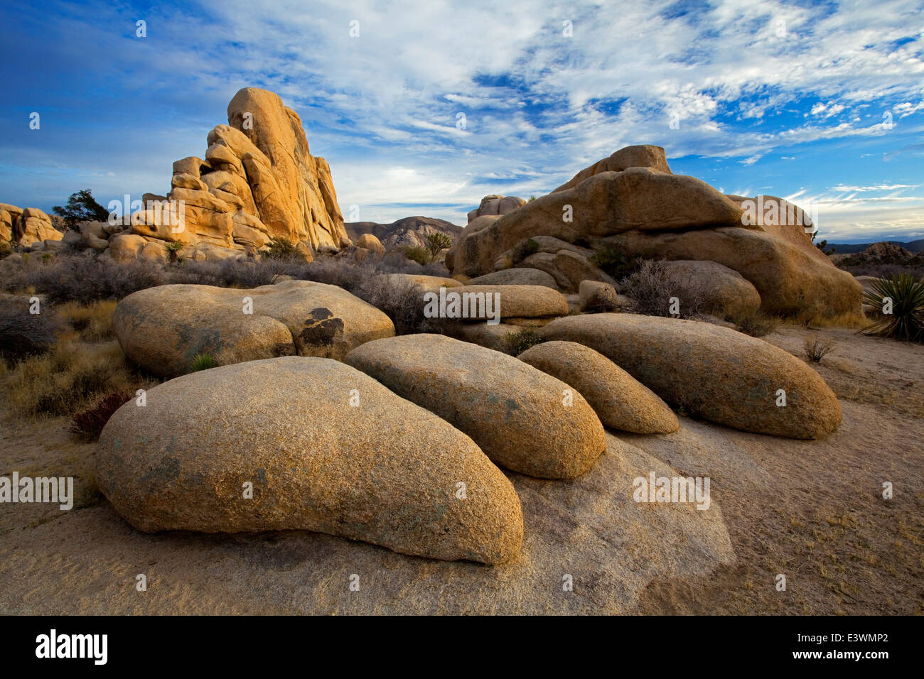 Joshua tree wonderland of rocks hi-res stock photography and images - Alamy