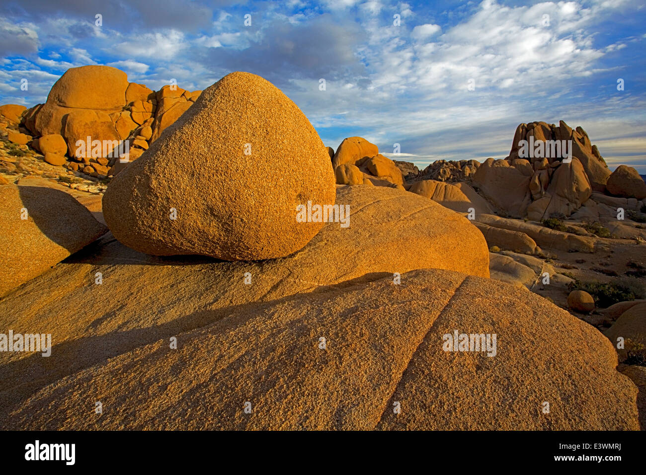 Joshua tree wonderland of rocks hires stock photography and images Alamy