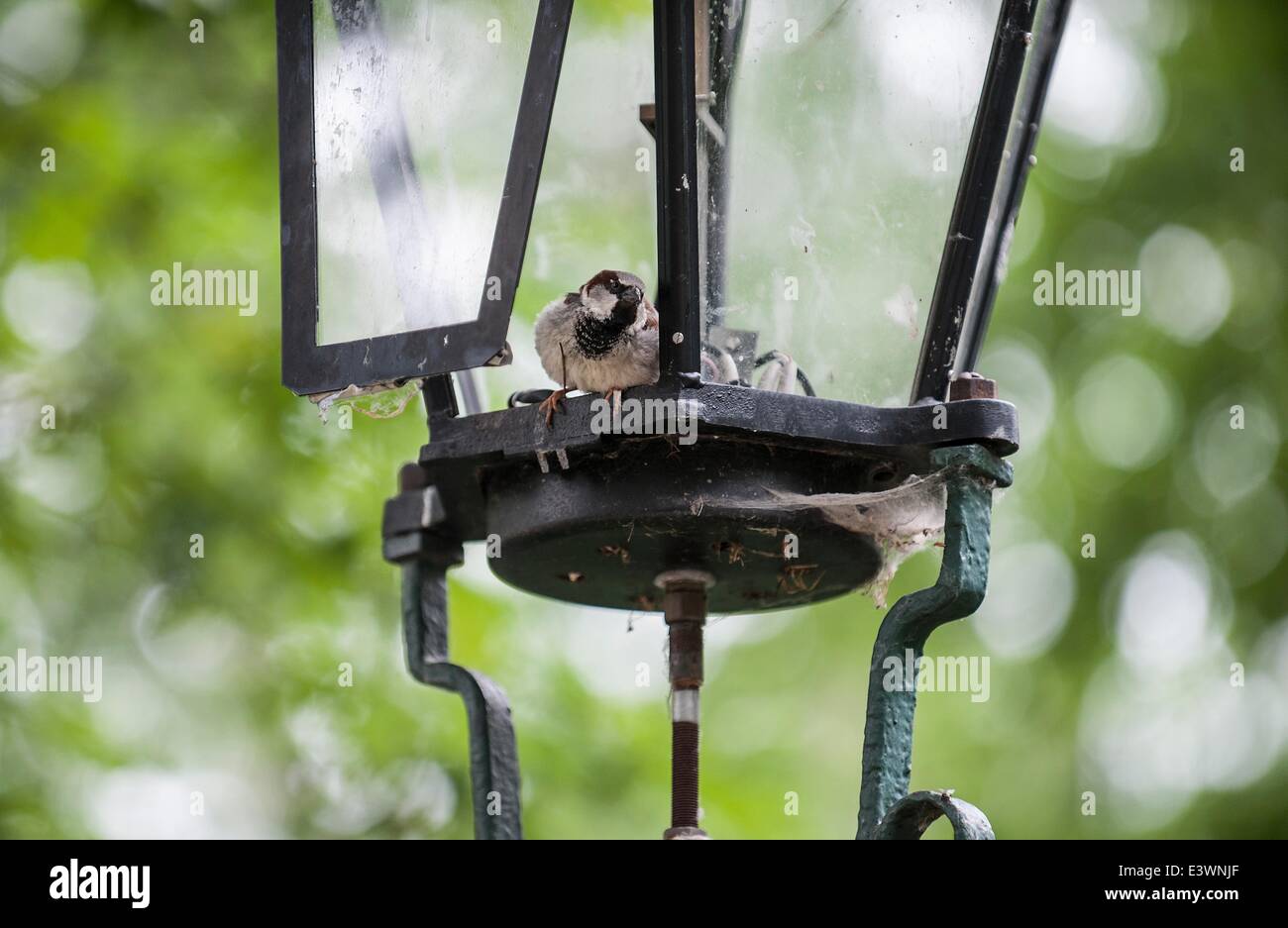 Open air museum for gas lamps in berlin hi-res stock photography and images  - Alamy