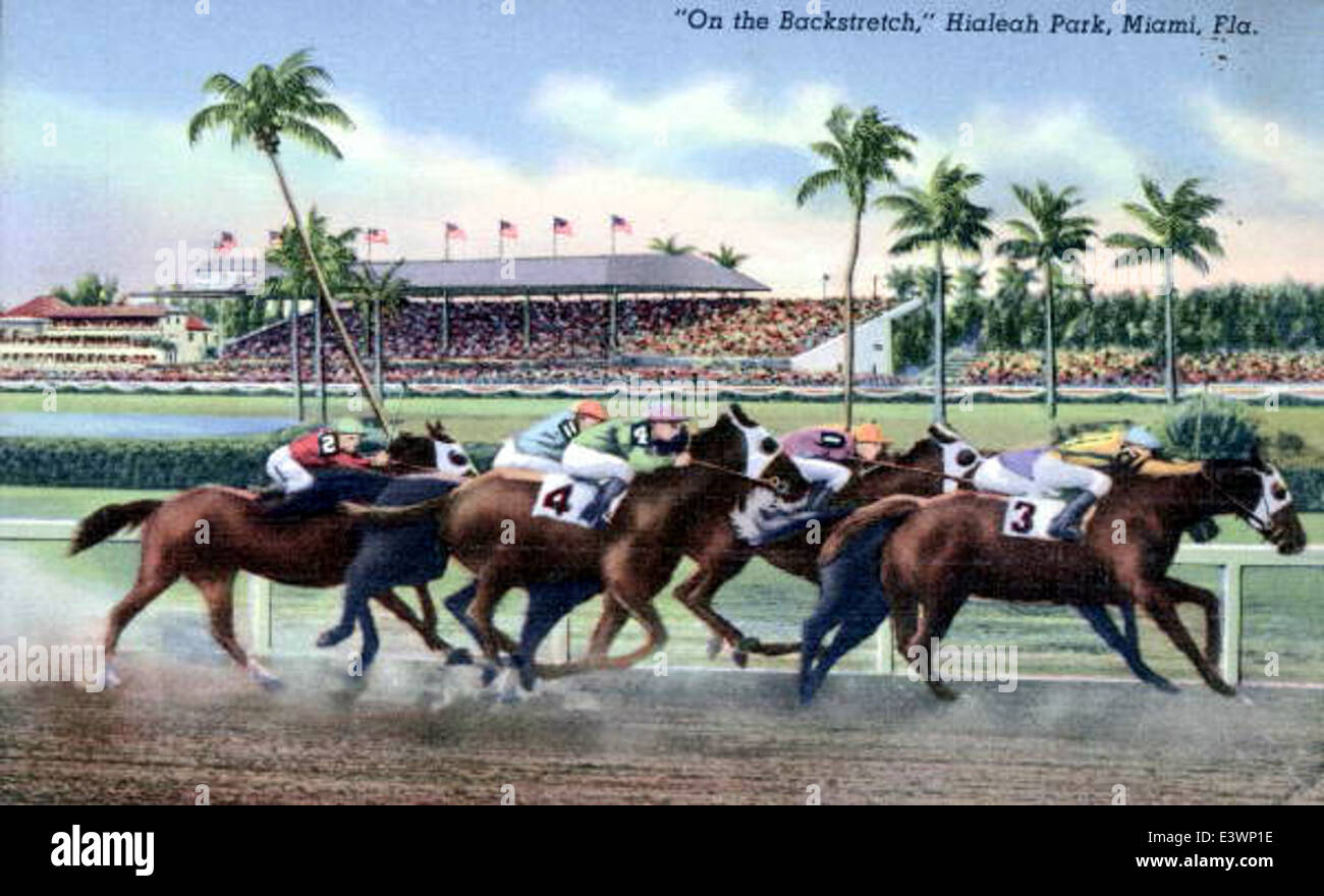 On the Backstretch