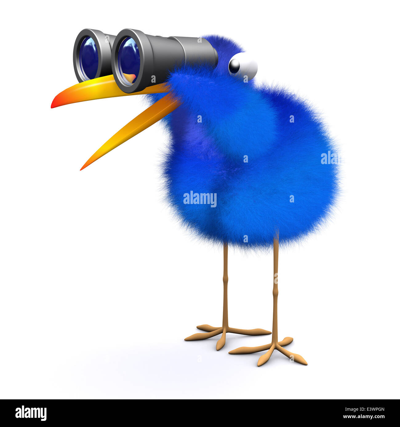 bird with binoculars