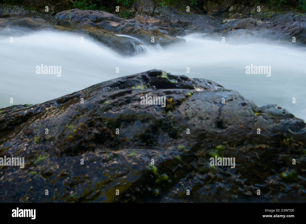 Long exposure of water flowing in a stream over rocks down to the St. Lawrence river near Gaspé, Quebec. Stock Photo
