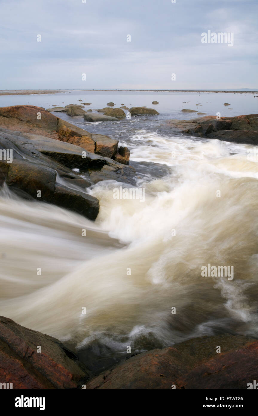 Water filled with forest tannins flowing over rocks down to the St. Lawrence river near Kamouraska, Quebec, Canada. Stock Photo