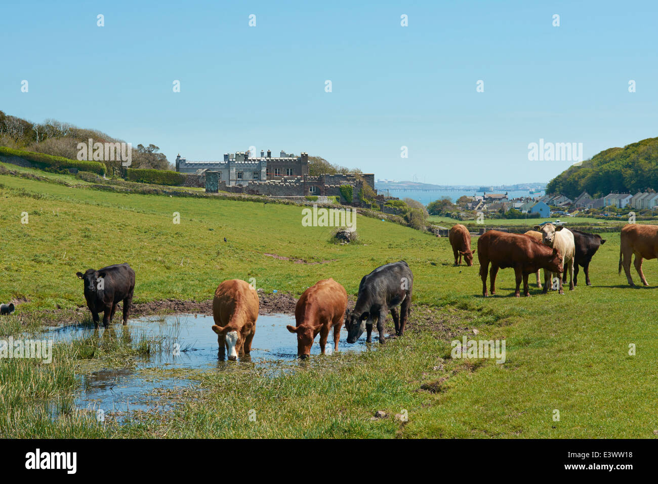 Dale Castle Dale, Pembrokeshire, Wales, UK Stock Photo Alamy