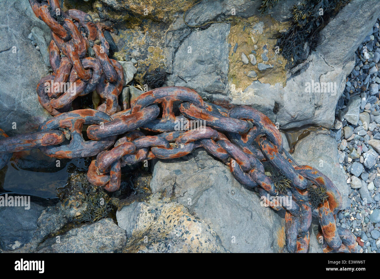 Stackpole quay beach hi-res stock photography and images - Alamy