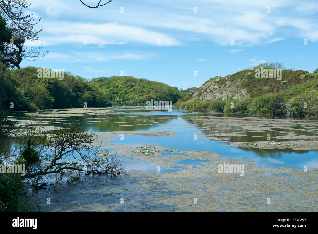 Stackpole Quay - Pembrokeshire, Wales, UK Stock Photo - Alamy