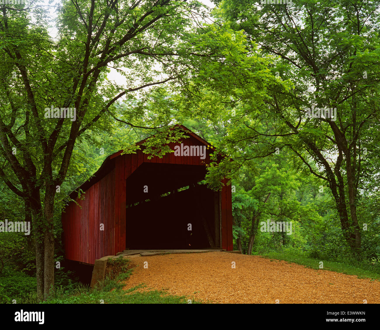 top 100+ Pictures sandy creek covered bridge state historic site photos Latest