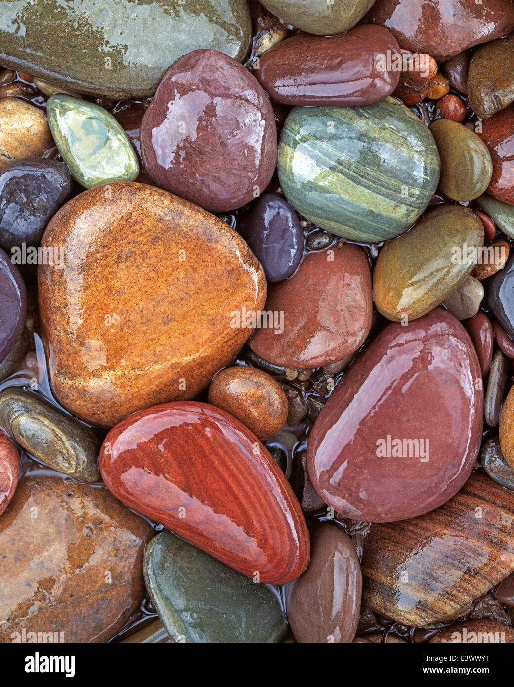 USA, Montana, Clark Fork River, Stones Stock Photo