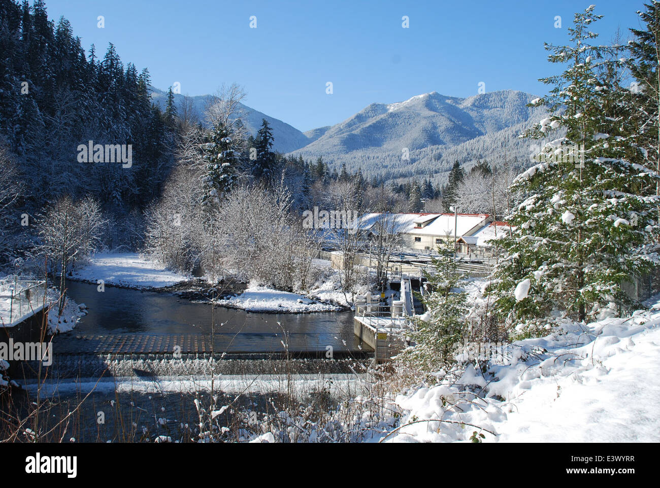 Quilcene hires stock photography and images Alamy