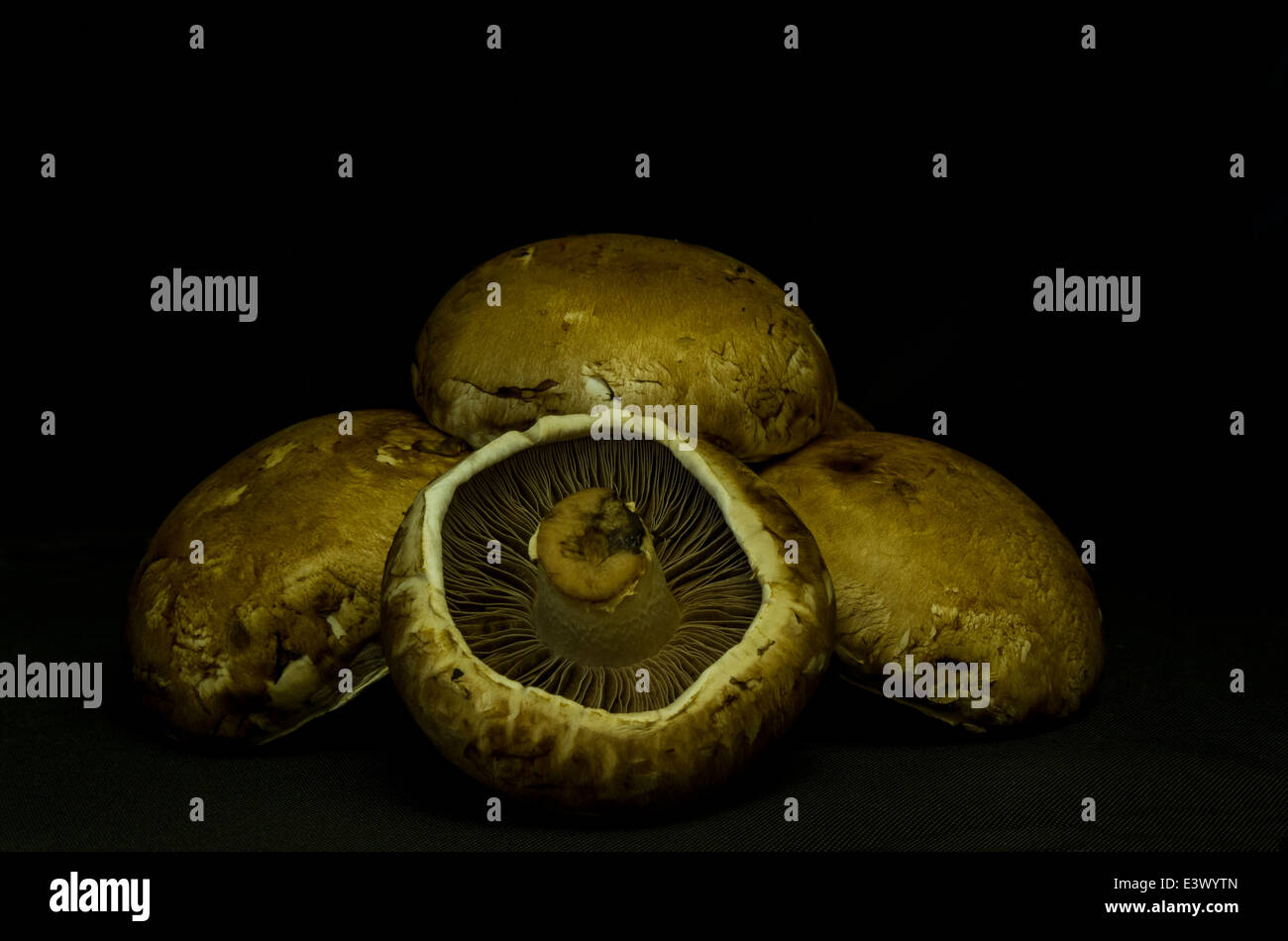 Baby Portobello Mushrooms Stock Photo - Alamy
