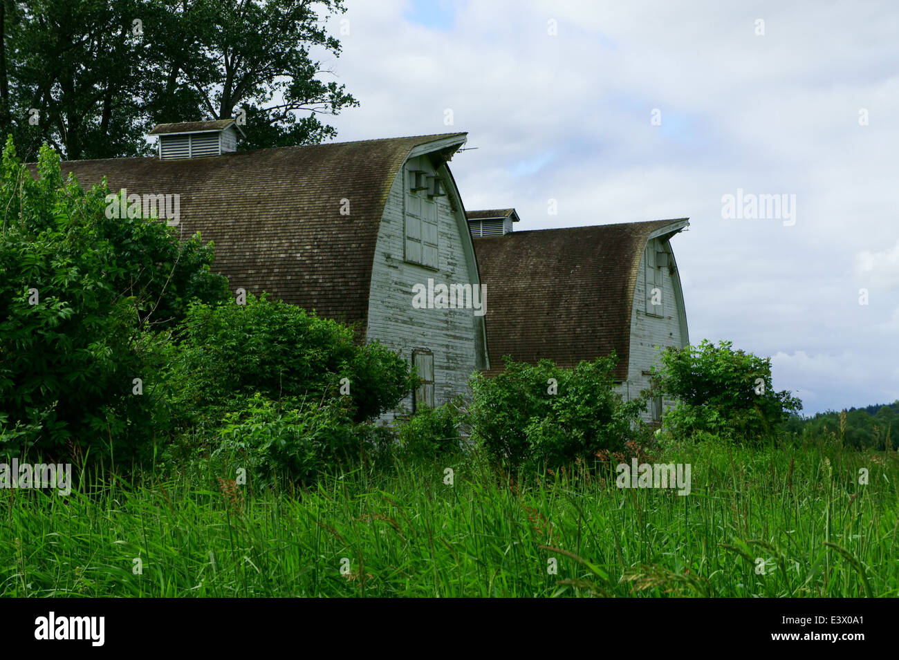 Historic Twin Barns Stock Photo