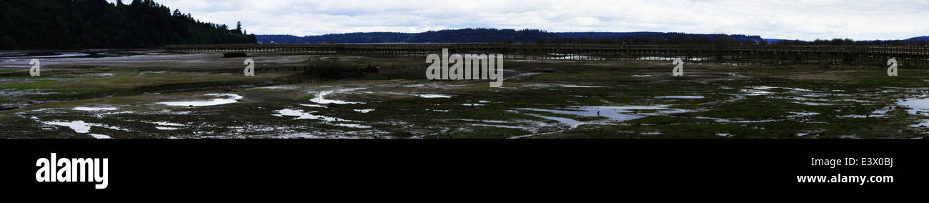 Tidal Flats at Low Tide with Boardwalk in Background Stock Photo