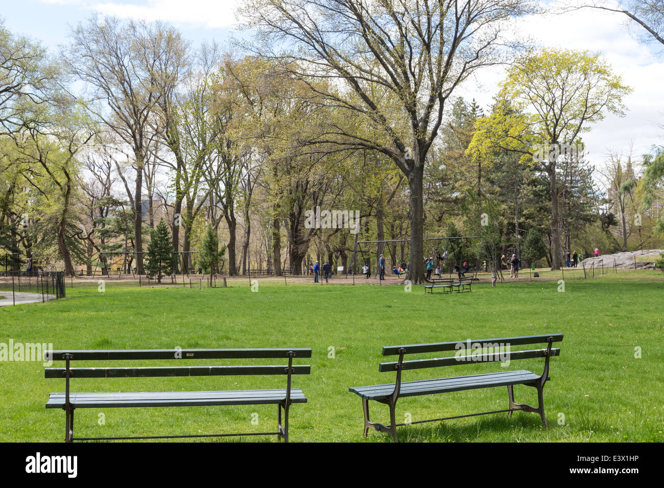 Empty Benches  and Green Lush Lawn, Central Park, NYC, USA Stock Photo