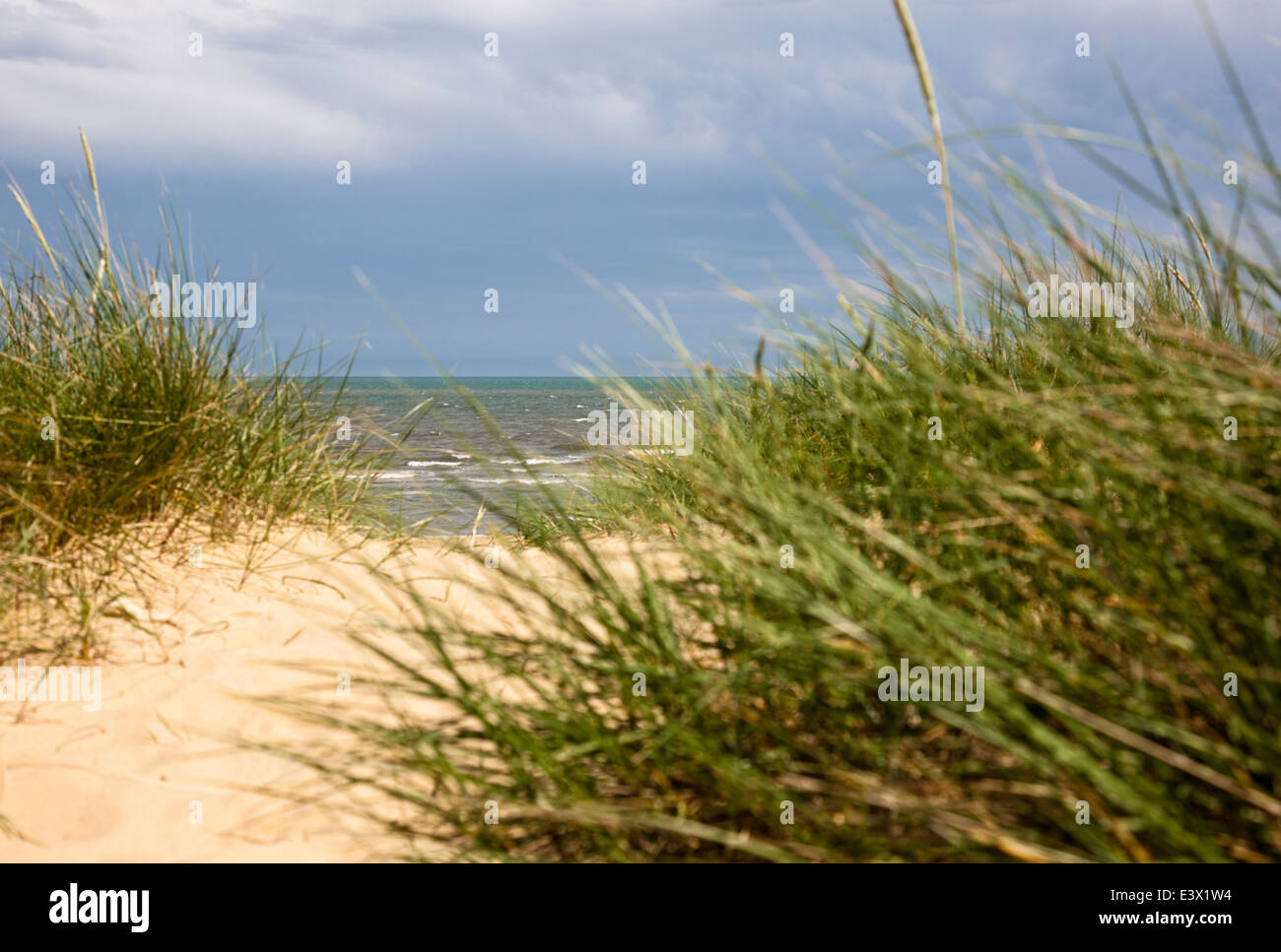 Sea view from sandy path through the dunes Stock Photo