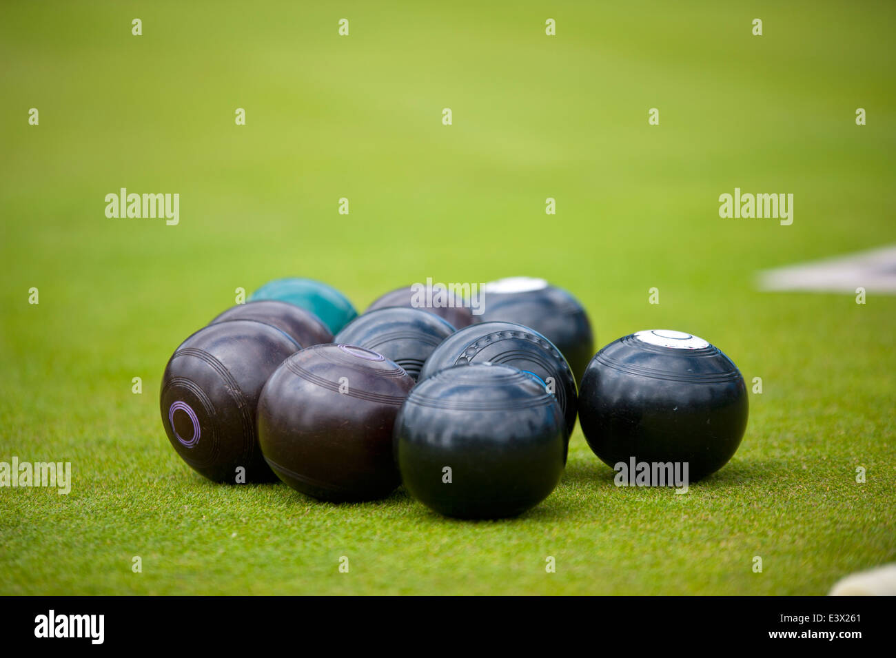 Bowling green. Stock Photo