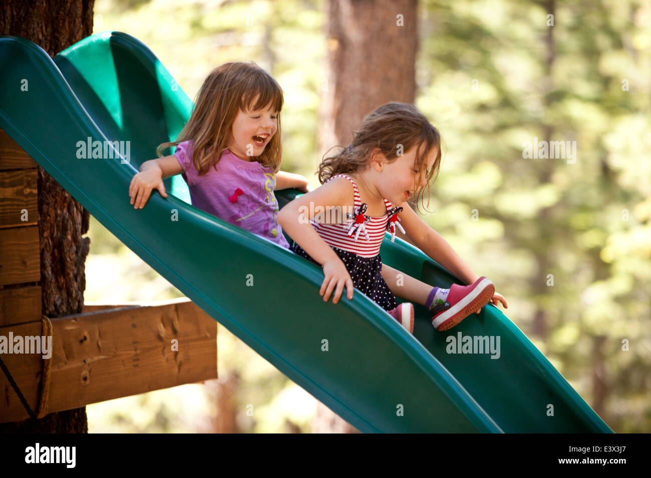 Two girls sliding down slide in woods together Stock Photo Alamy