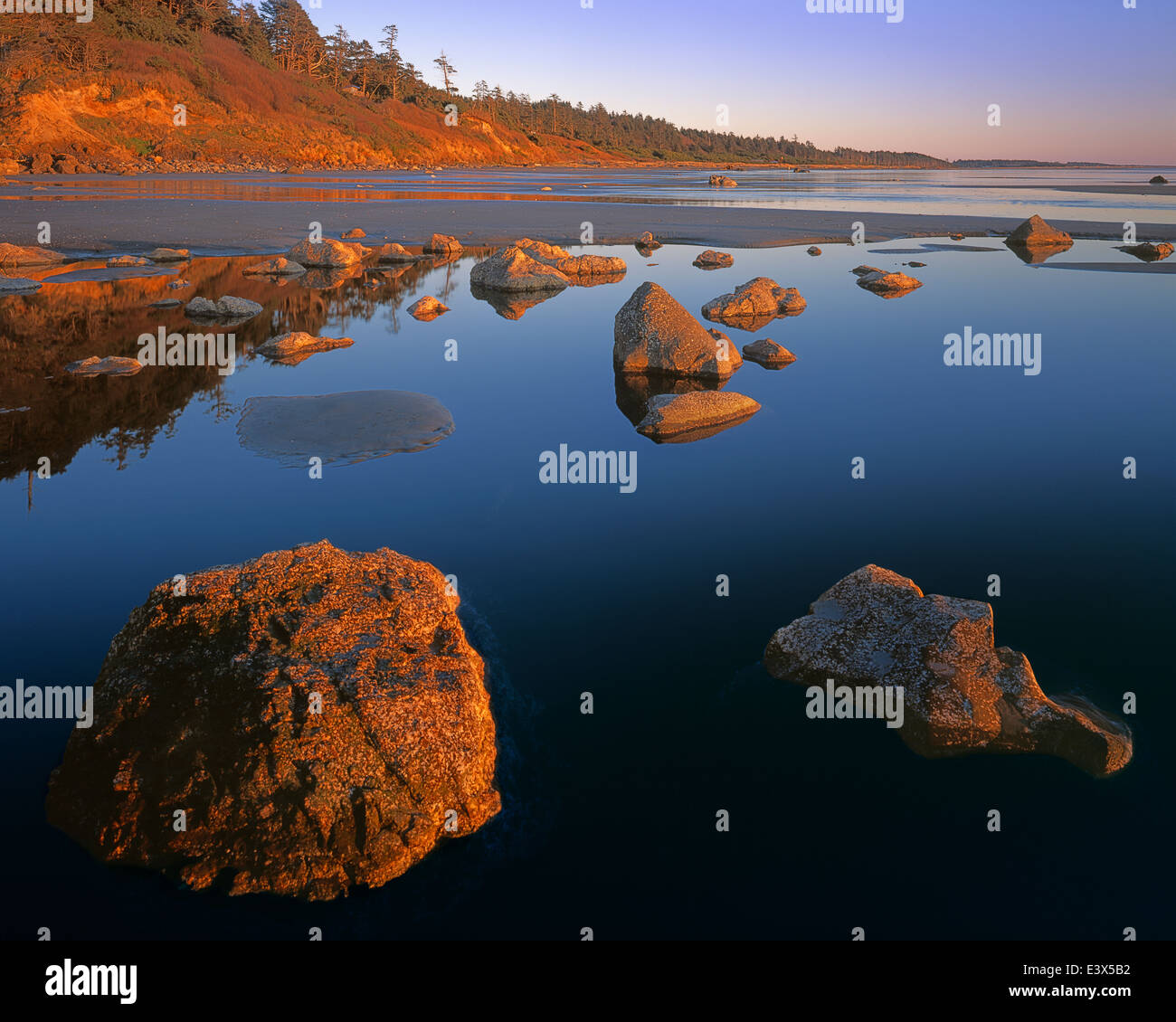USA, Washington, Copalis Beach, Tide pools Stock Photo Alamy