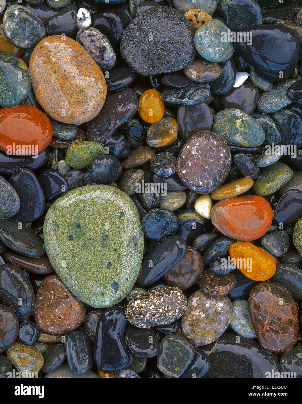 USA, Washington, Lopez Island, Agate Beach County, Stones Stock Photo