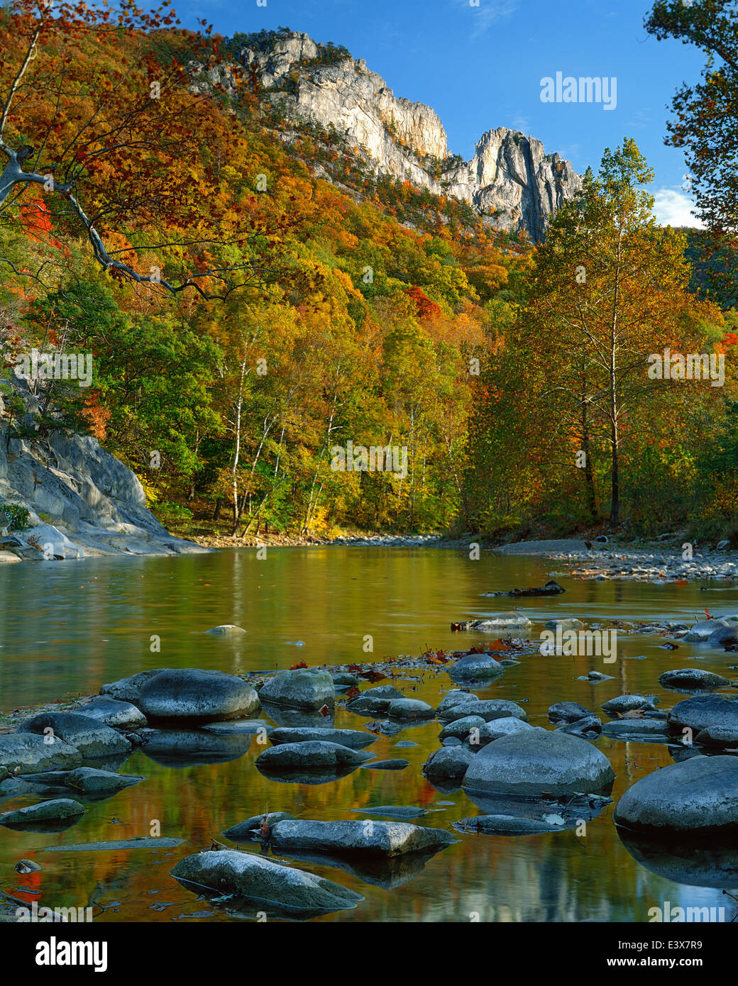 USA, West Virginia, Spruce Knob-Seneca Rocks National Recreation Area, Monongahela National Forest, South Fork Potomac River Stock Photo