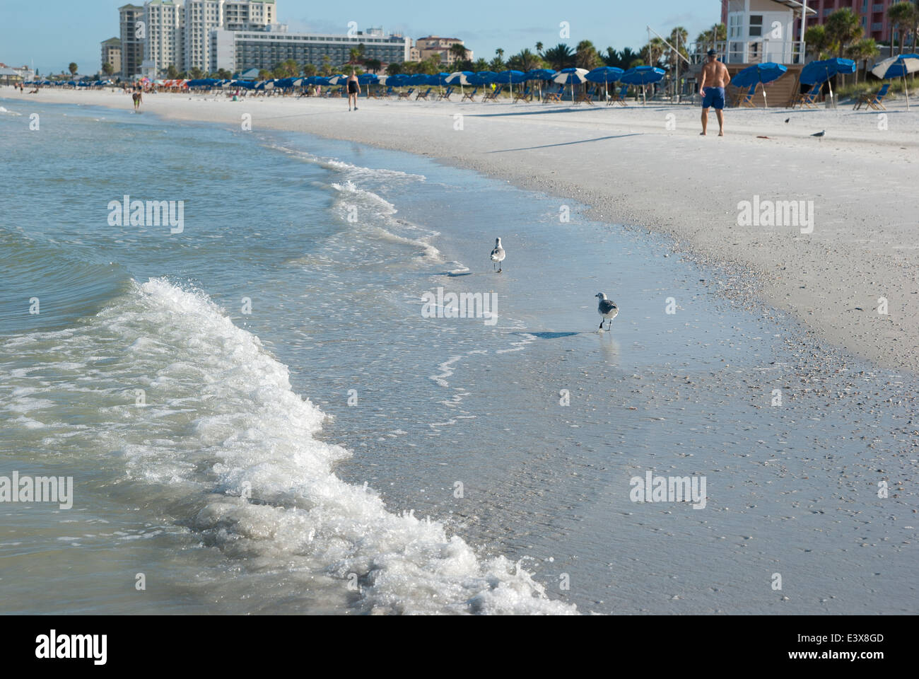 beach in clearwater tampa Florida Stock Photo