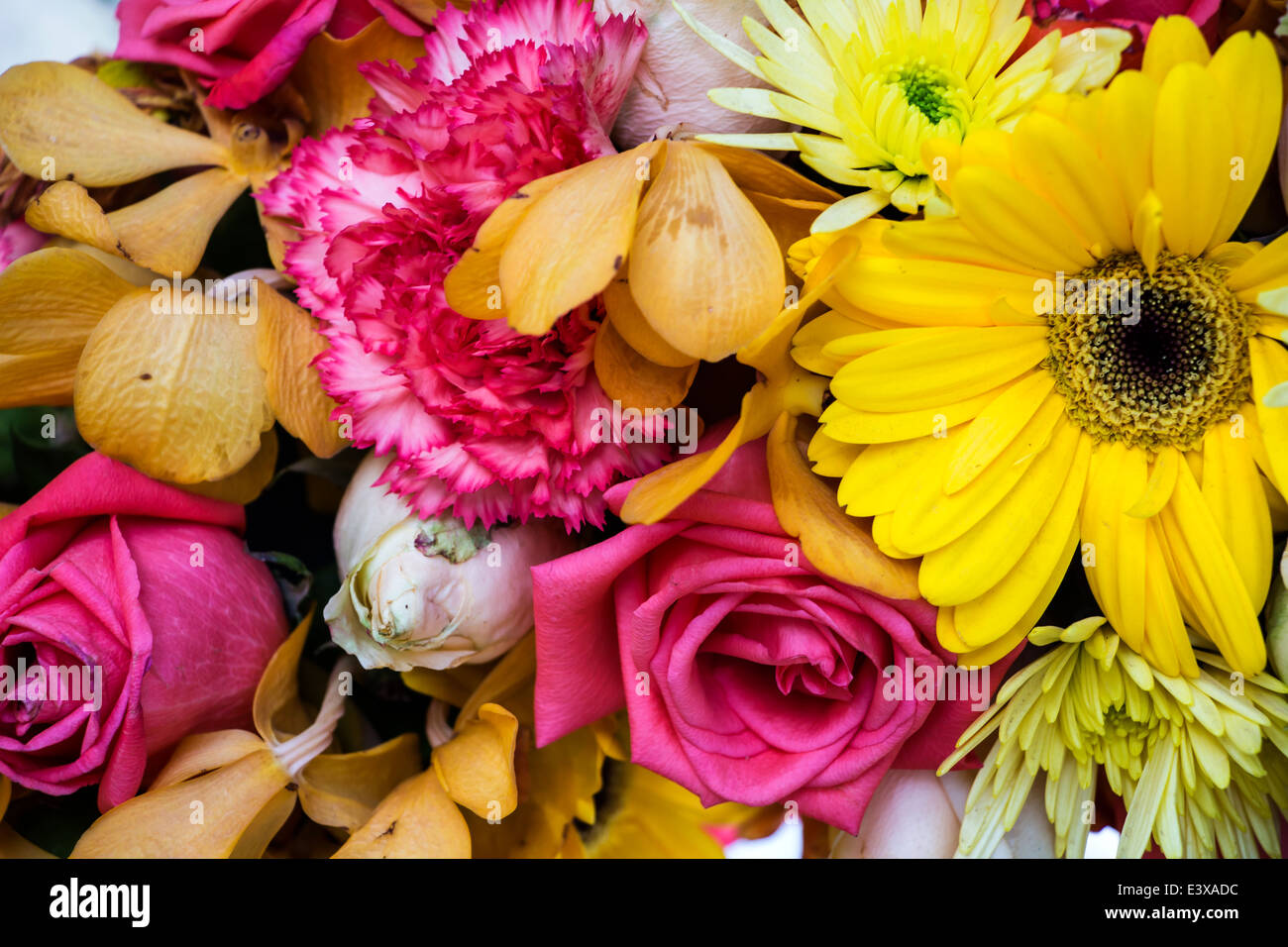 colorful background of flowers Stock Photo - Alamy