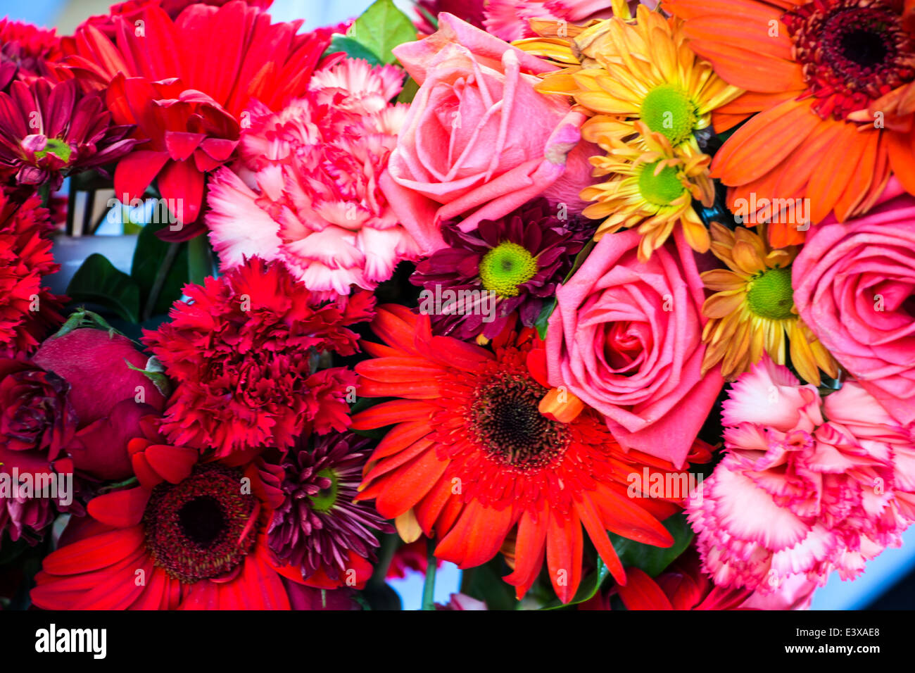 colorful background of flowers Stock Photo - Alamy