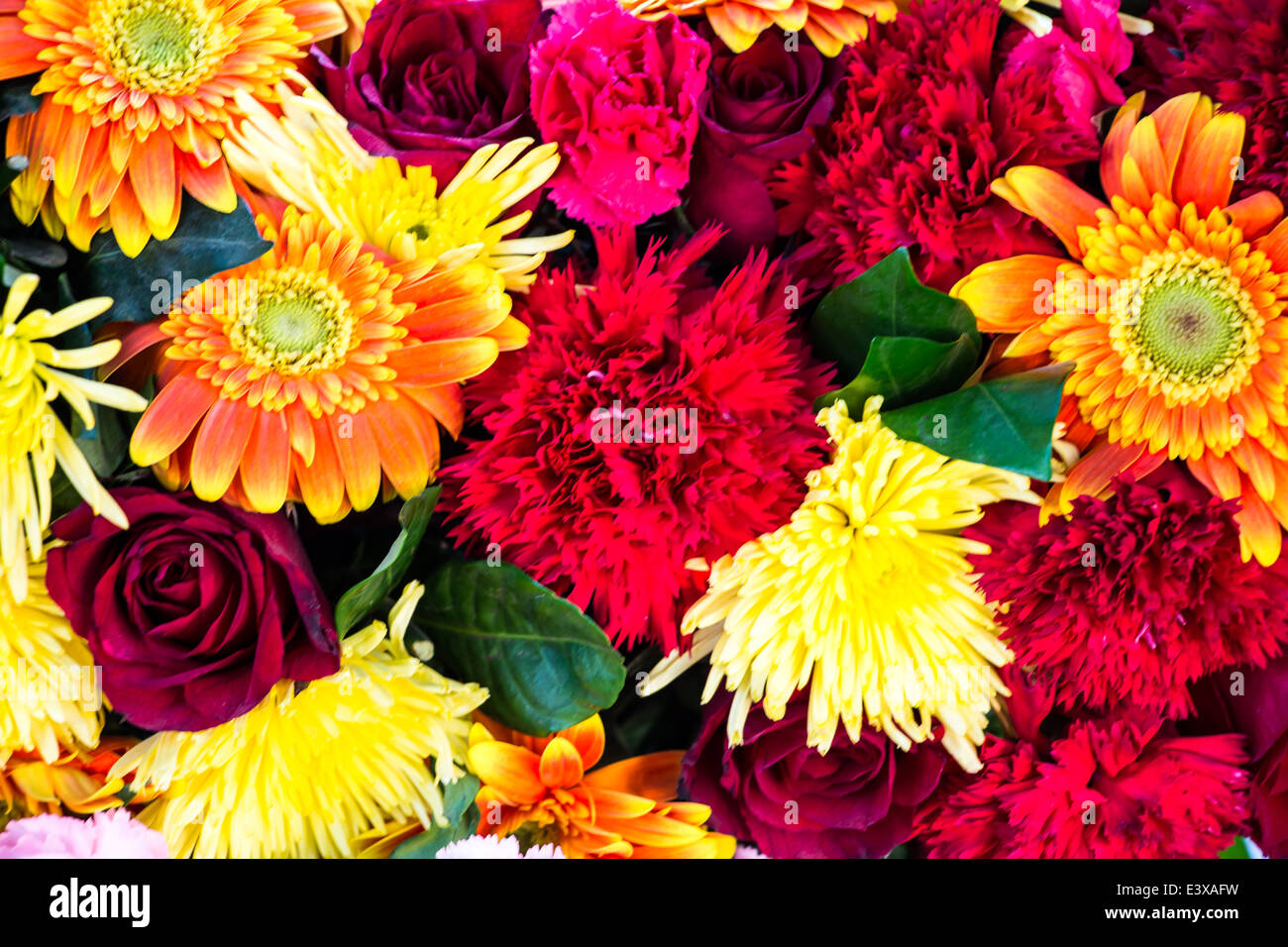 colorful background of flowers Stock Photo - Alamy