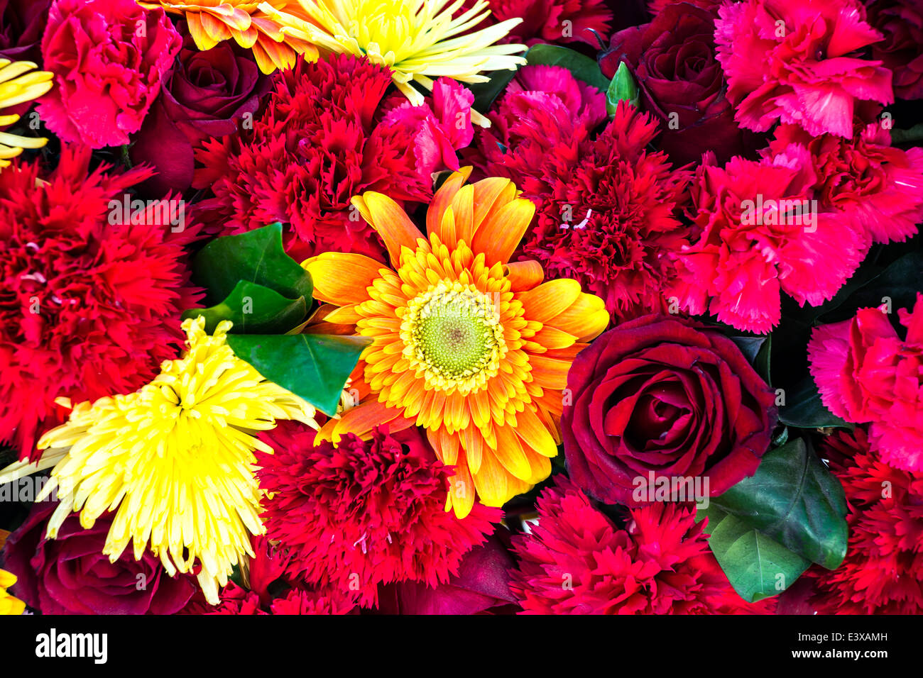 colorful background of flowers Stock Photo - Alamy