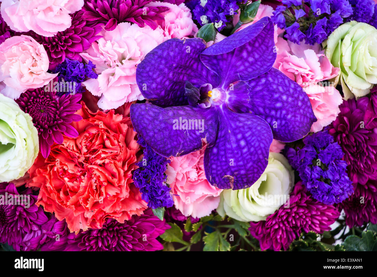 colorful background of flowers Stock Photo - Alamy