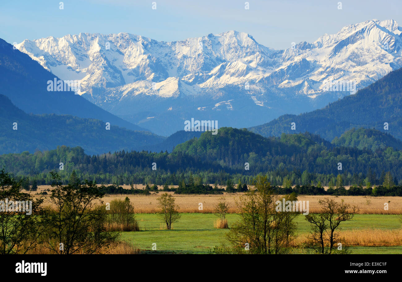 Murnau Moor, Murnauer Moos, Ester Mountains, Murnau, Blaues Land region, Upper Bavaria, Bavaria, Germany Stock Photo