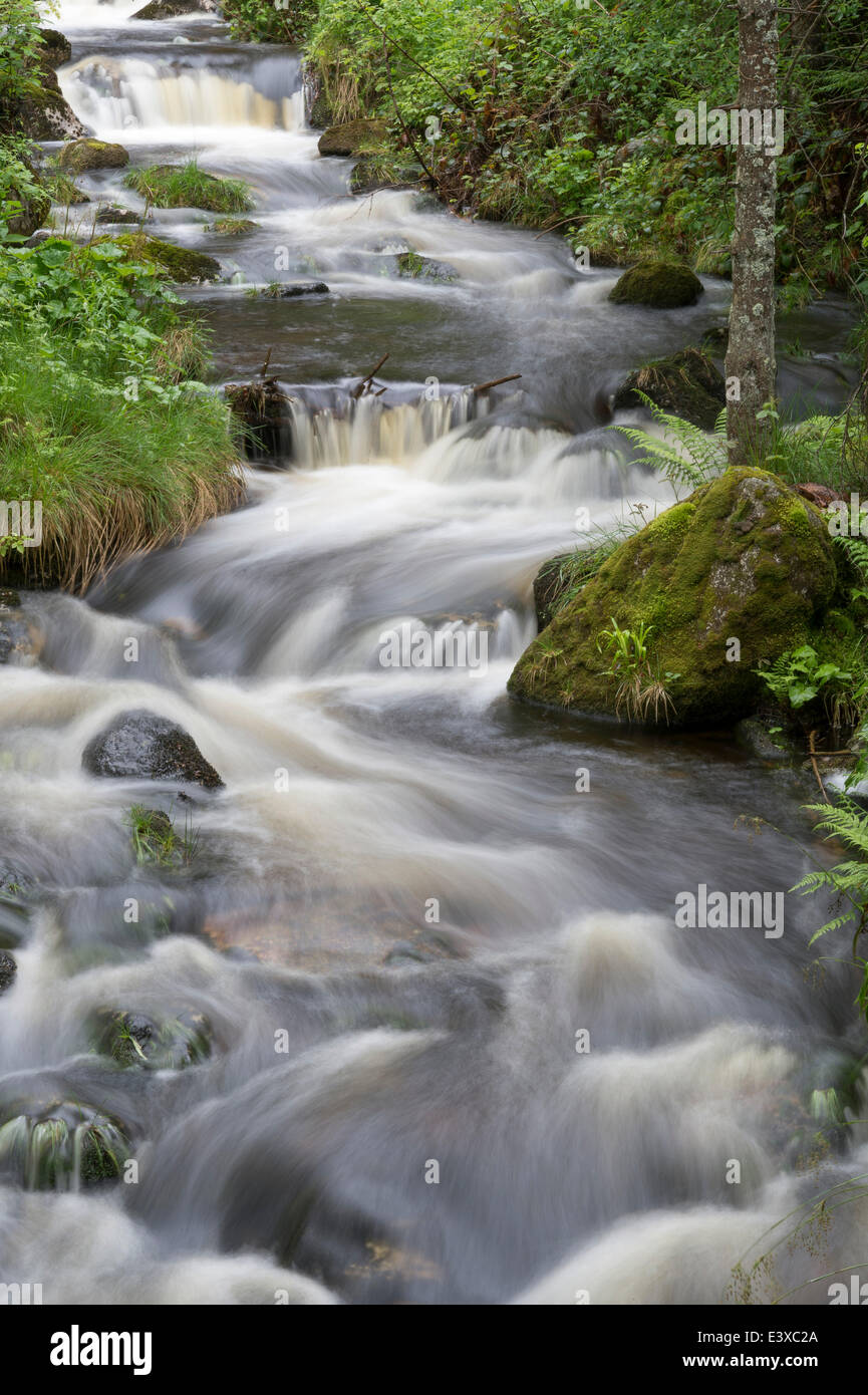 Kleine Ohe mountain stream, Bavarian Forest National Park, Waldhäuser, Bavaria, Germany Stock Photo