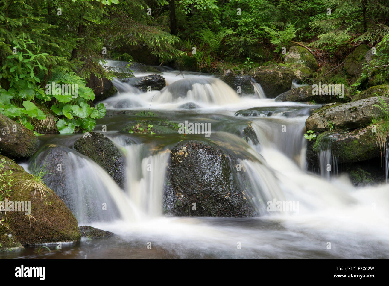 Kleine Ohe mountain stream, Bavarian Forest National Park, Waldhäuser, Bavaria, Germany Stock Photo