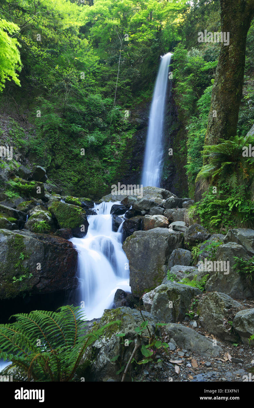 Gifu Prefecture, Japan Stock Photo - Alamy