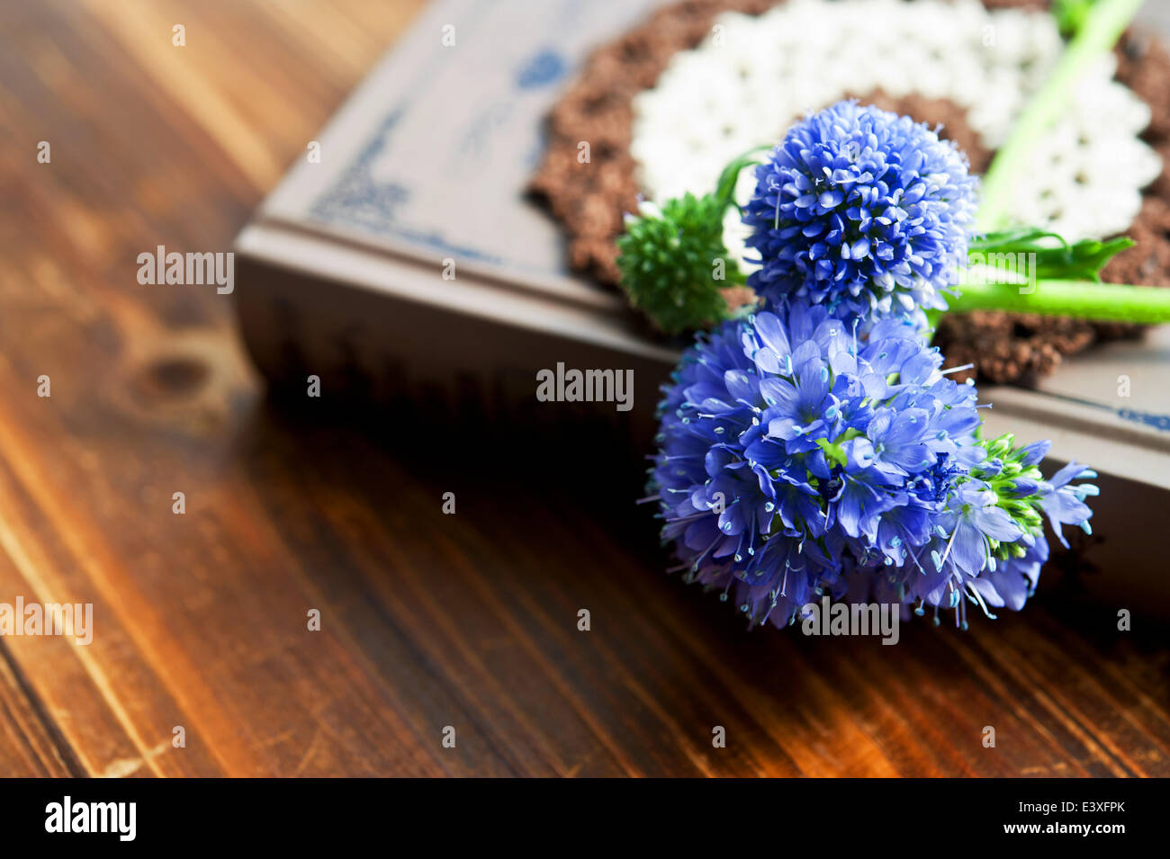 Flowers on book Stock Photo Alamy