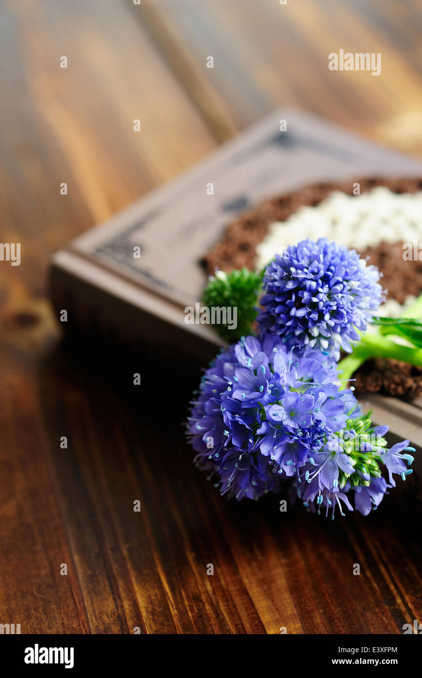Flowers on book Stock Photo Alamy